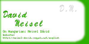 david meisel business card